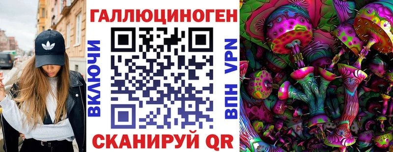 Псилоцибиновые грибы Psilocybine cubensis  Купить закладки  Иркутск 